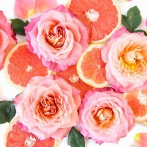 Parfüm Selber Herstellen Grapefruit Ätherische Öle Kinder Aromatherapie
