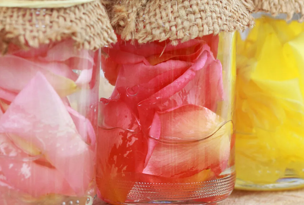 atherische-ole-fur-babys-nicht-verwenden