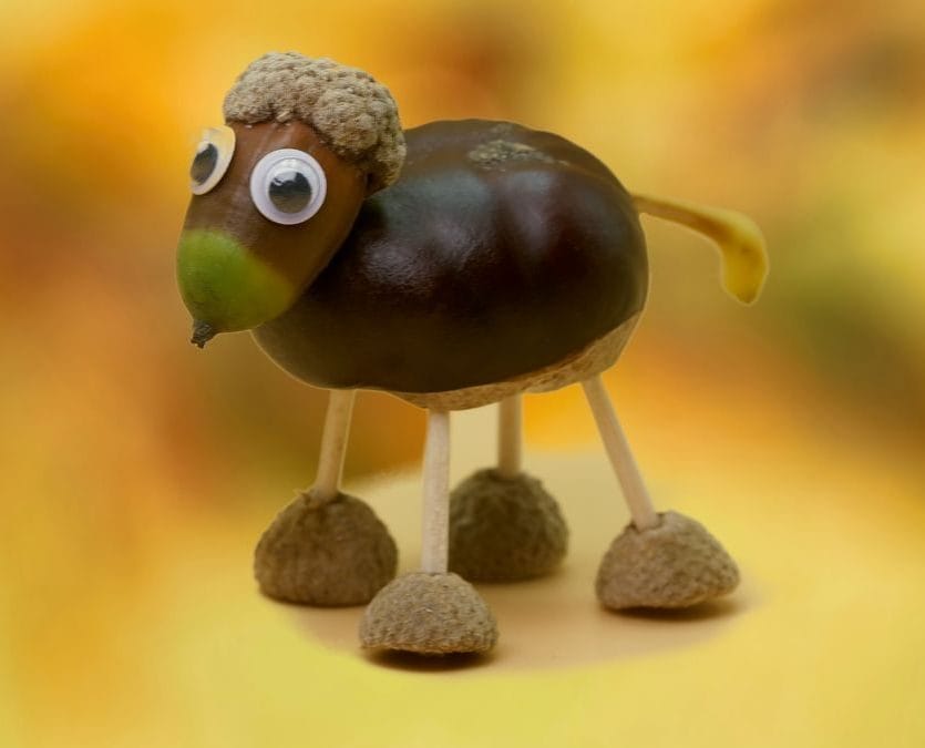bastelideen Herbst basteln mit kinder